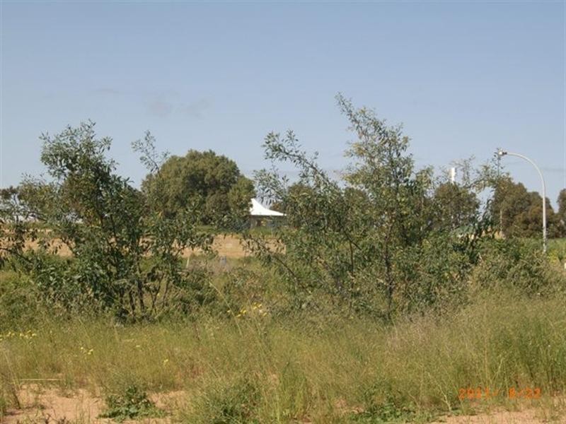 1 Ayelia Parkway, Port Denison WA 6525