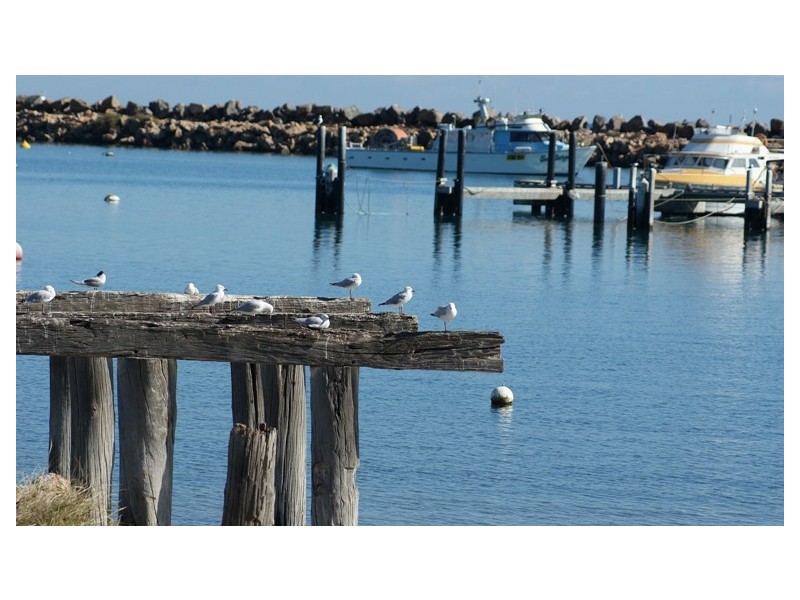 Unit 4/213 Point Leander Drive, Port Denison WA 6525