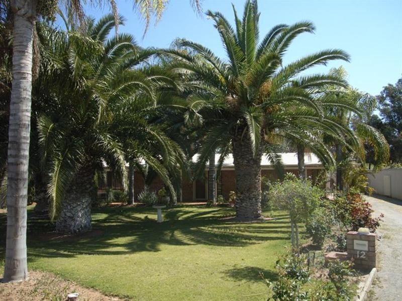 12 Reeve Terrace, Port Denison WA 6525