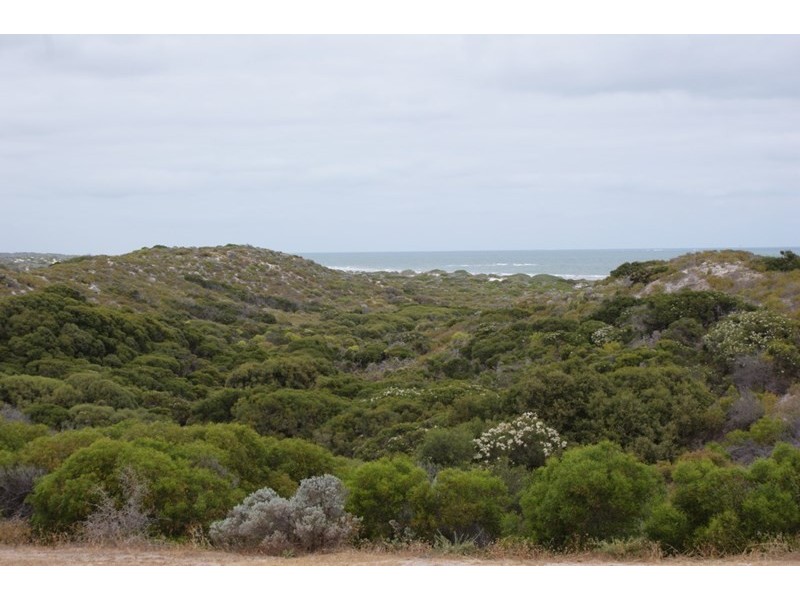 45 George Street, Port Denison WA 6525