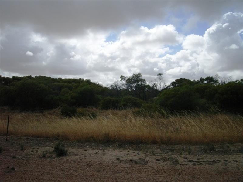 63 Springfield Drive, Dongara WA 6525