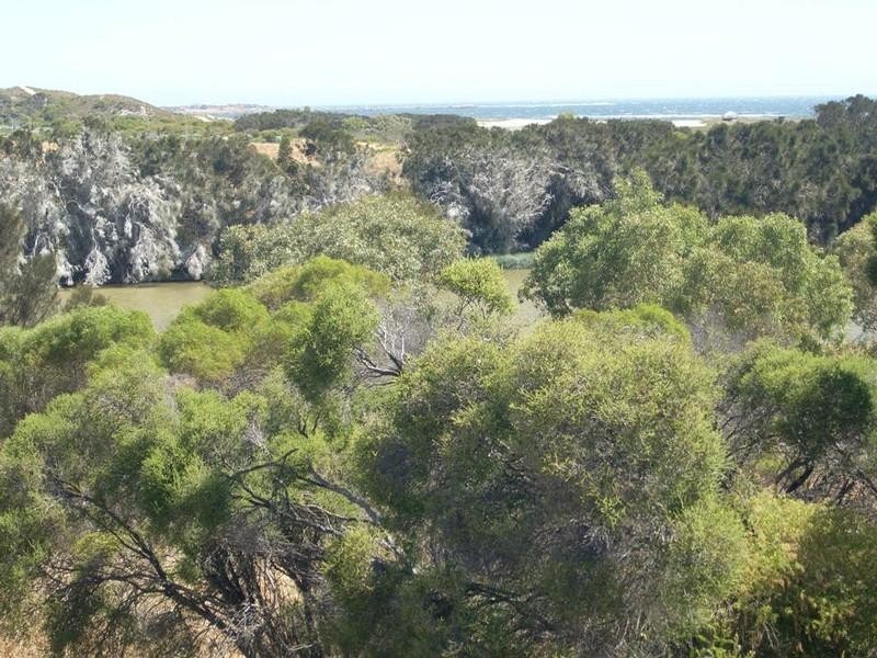 35 CHURCH, Dongara WA 6525