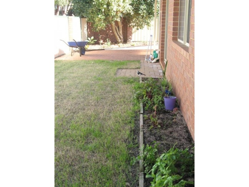 1/14 Hosken Street, Dongara WA 6525