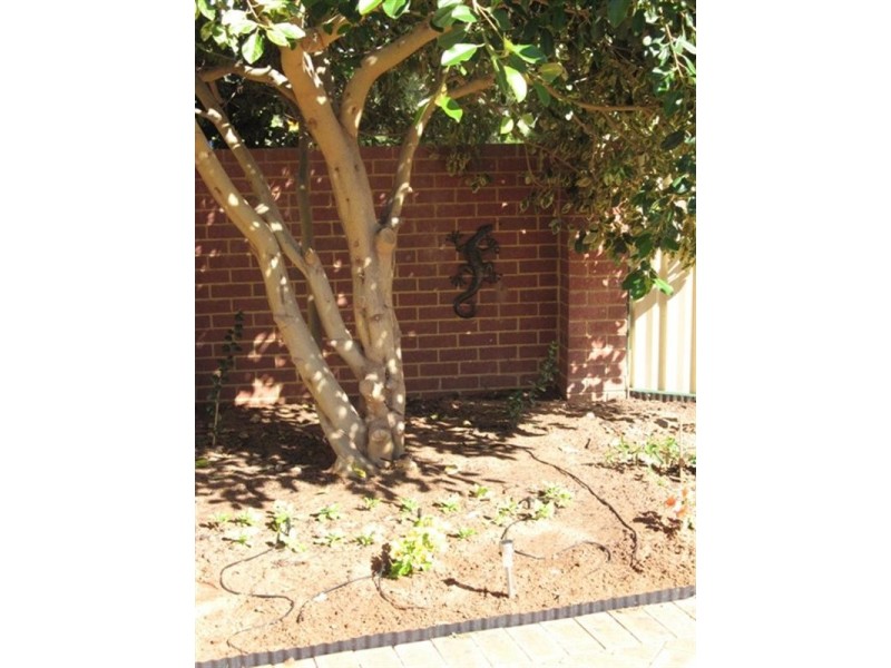 1/14 Hosken Street, Dongara WA 6525