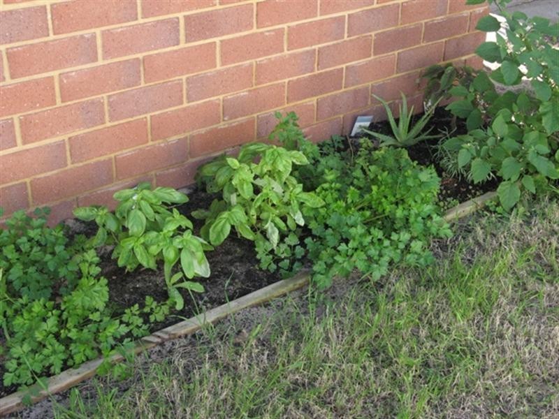 1/14 Hosken Street, Dongara WA 6525