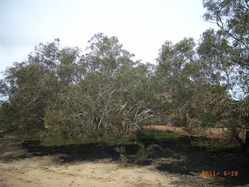 Lot 3/865 Water Supply Road, Bookara WA 6525