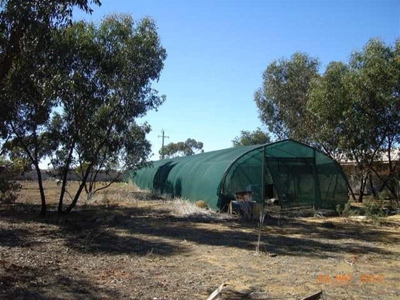 41 Williamson Street, Three Springs WA 6519