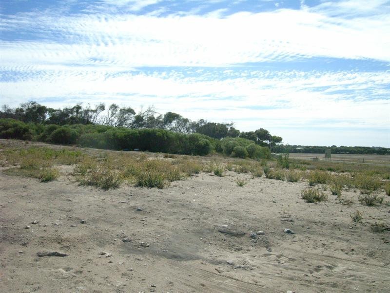 44 (Lot 736) Premier Circle, Dongara WA 6525