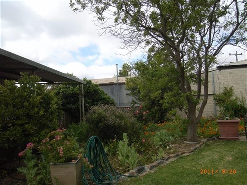 31 Slaughter Street, Three Springs WA 6519