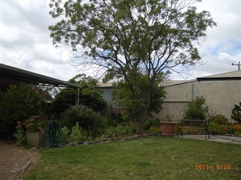 31 Slaughter Street, Three Springs WA 6519