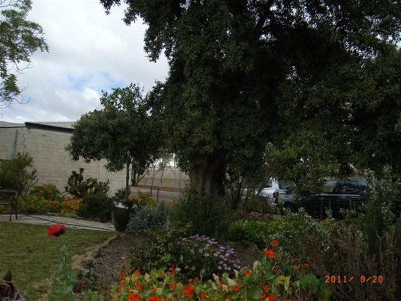 31 Slaughter Street, Three Springs WA 6519