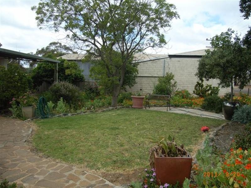 31 Slaughter Street, Three Springs WA 6519