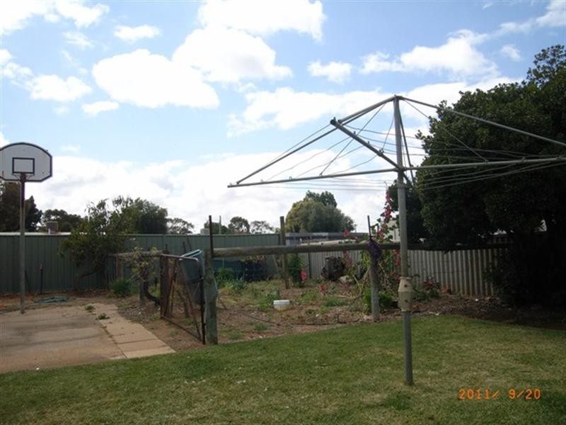 31 Slaughter Street, Three Springs WA 6519