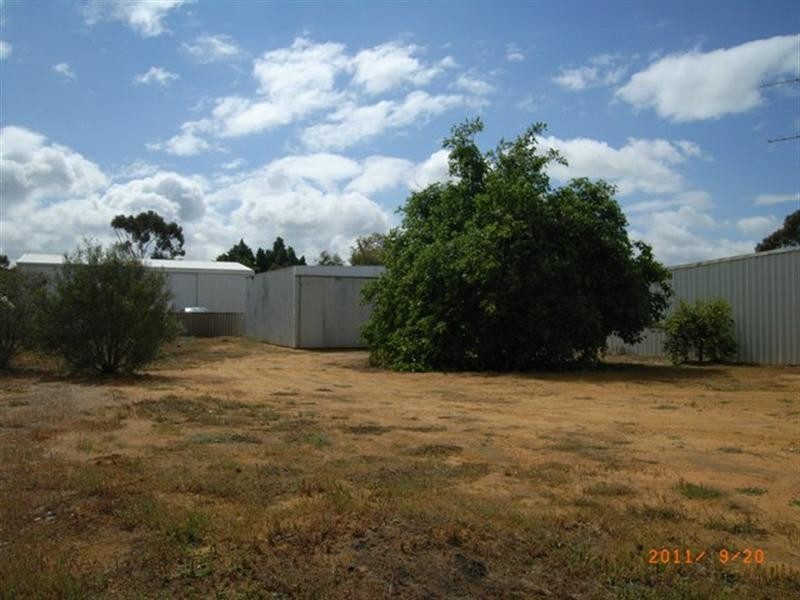 31 Slaughter Street, Three Springs WA 6519