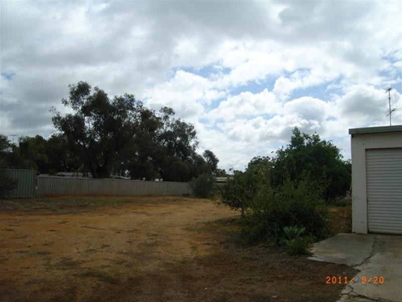 31 Slaughter Street, Three Springs WA 6519