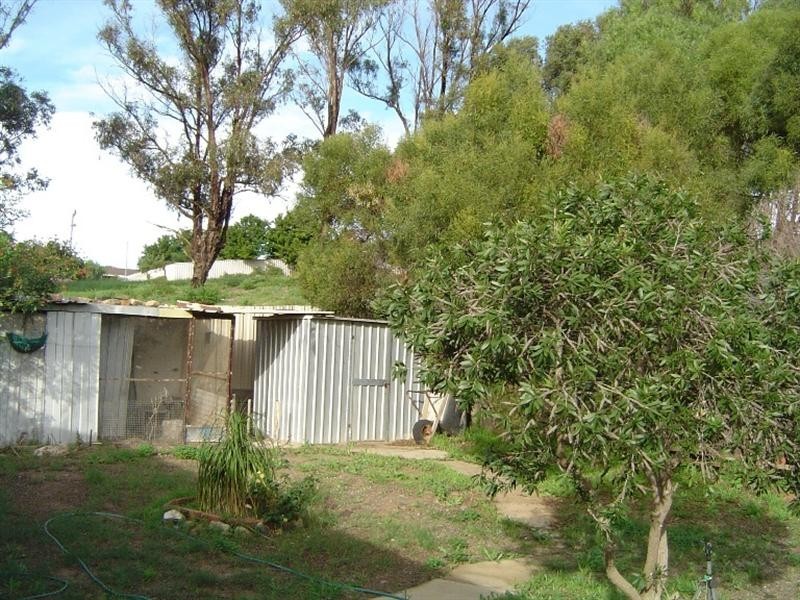 251 Point Leander Drive, Port Denison WA 6525