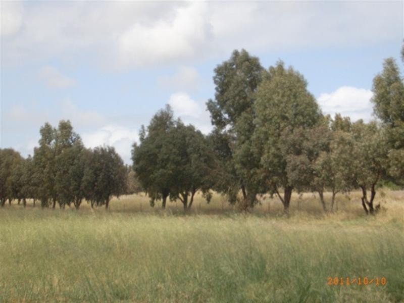 87 Acacia Road, Springfield WA 6525