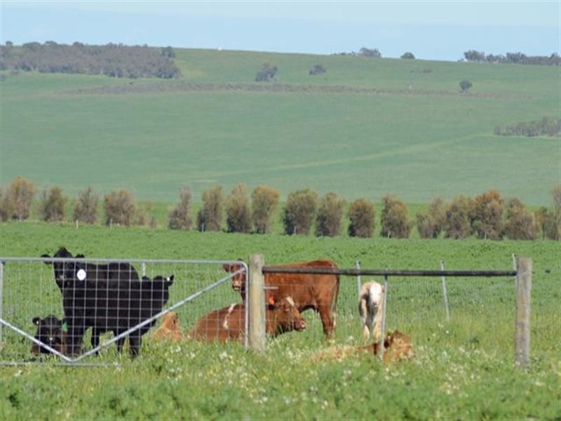 1 Milo Road, Irwin, Irwin WA 6525