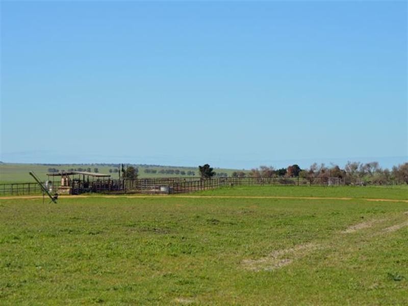 1 Milo Road, Irwin, Irwin WA 6525