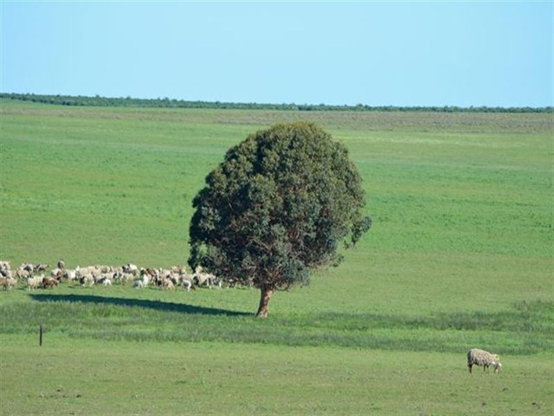 1 Milo Road, Irwin, Irwin WA 6525