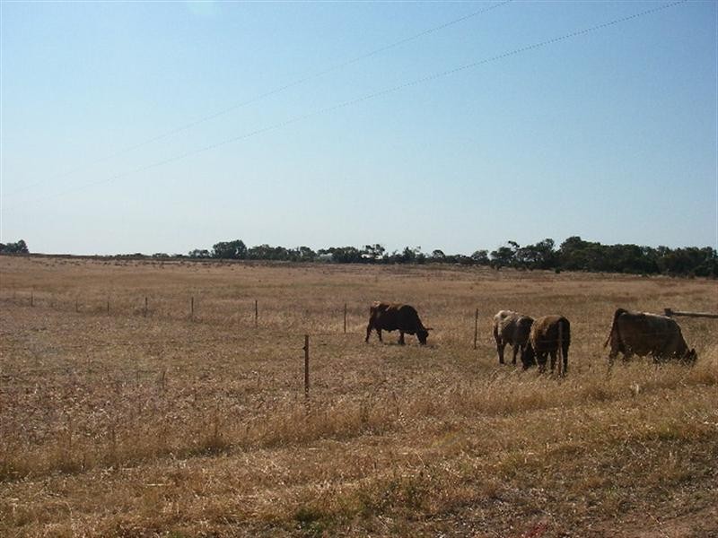 219 Pettit Road, Dongara WA 6525