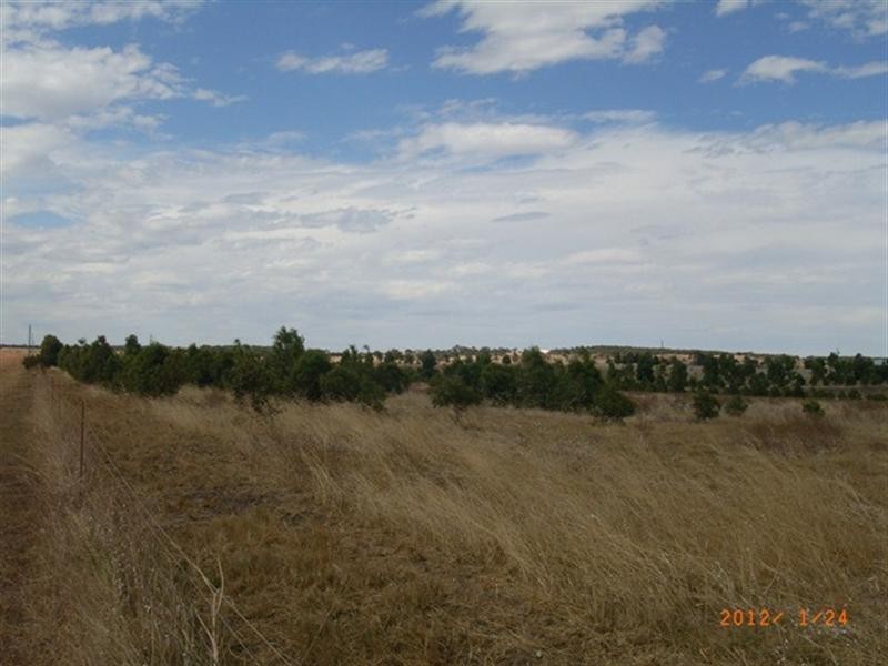 Lot 120 Wimpole Road, Bonniefield WA 6525