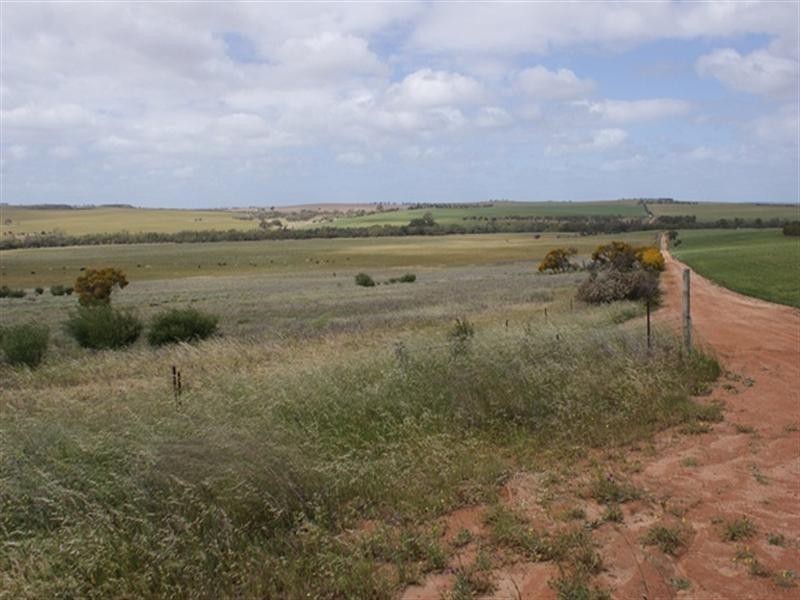 lot 60 Strawberry North East Road, Yarragadee WA 6522