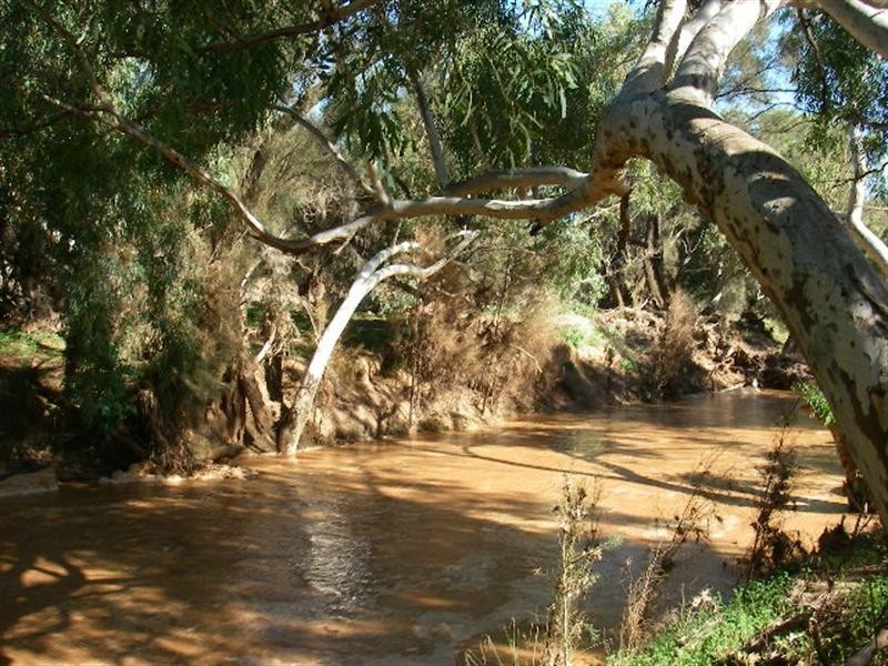 lot 60 Strawberry North East Road, Yarragadee WA 6522