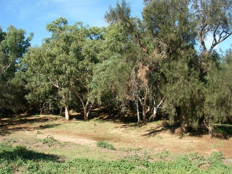 lot 60 Strawberry North East Road, Yarragadee WA 6522