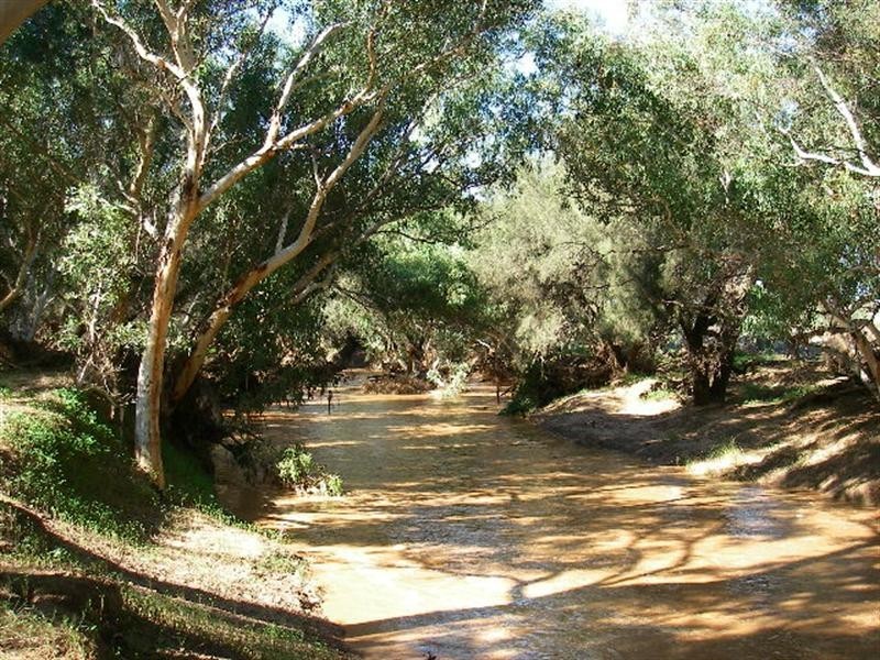 lot 60 Strawberry North East Road, Yarragadee WA 6522