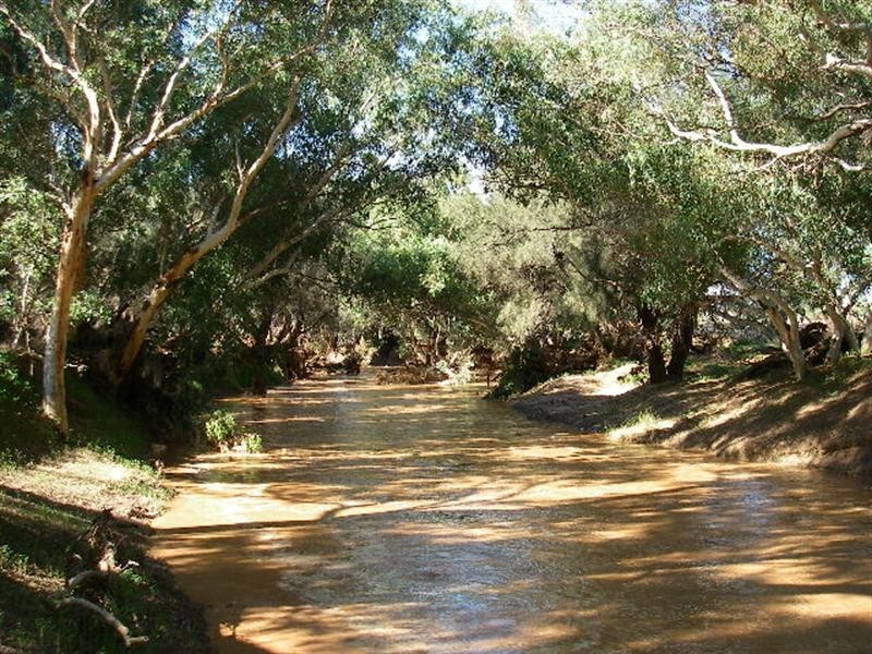 lot 60 Strawberry North East Road, Yarragadee WA 6522