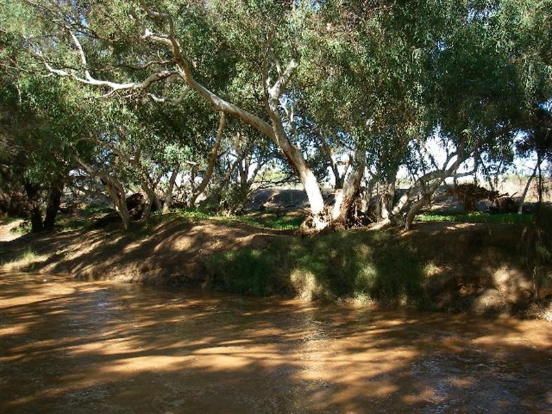 lot 60 Strawberry North East Road, Yarragadee WA 6522