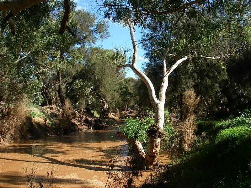 lot 60 Strawberry North East Road, Yarragadee WA 6522