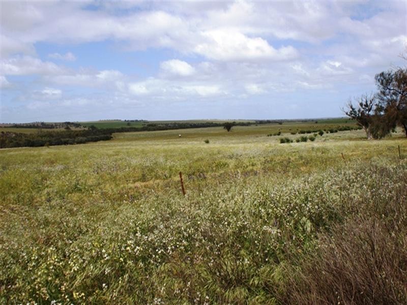 lot 60 Strawberry North East Road, Yarragadee WA 6522