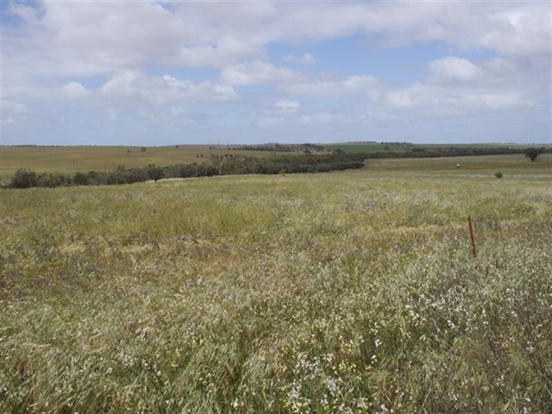 lot 60 Strawberry North East Road, Yarragadee WA 6522