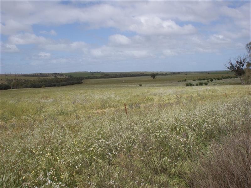 lot 60 Strawberry North East Road, Yarragadee WA 6522