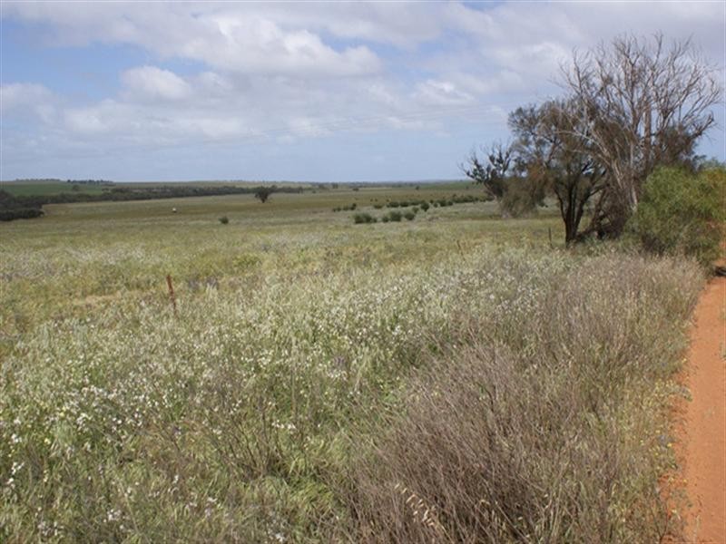 lot 60 Strawberry North East Road, Yarragadee WA 6522