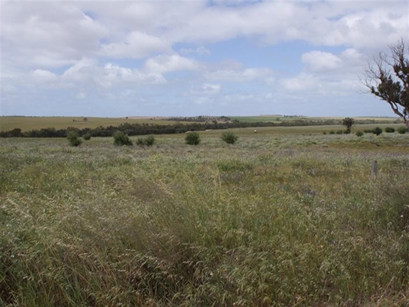 lot 60 Strawberry North East Road, Yarragadee WA 6522