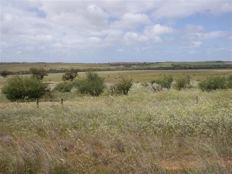 lot 60 Strawberry North East Road, Yarragadee WA 6522