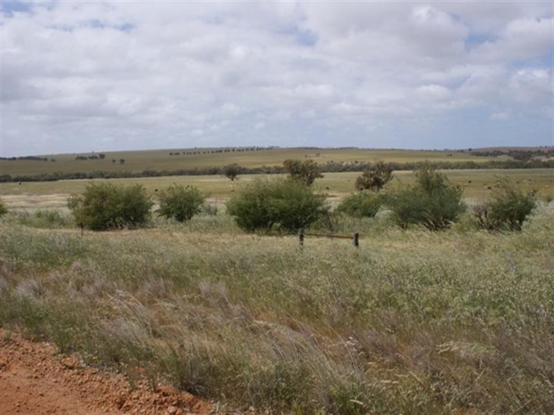 lot 60 Strawberry North East Road, Yarragadee WA 6522