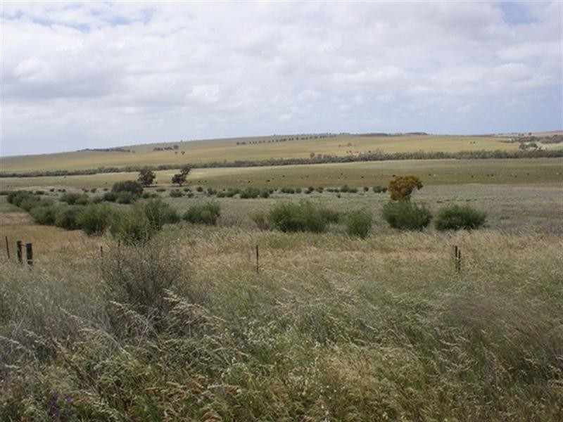 lot 60 Strawberry North East Road, Yarragadee WA 6522