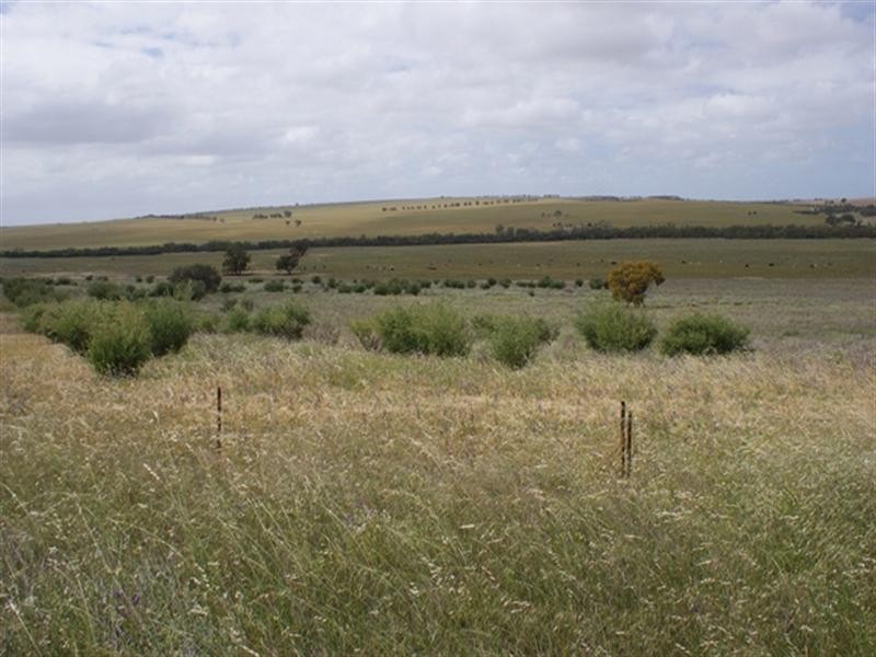 lot 60 Strawberry North East Road, Yarragadee WA 6522