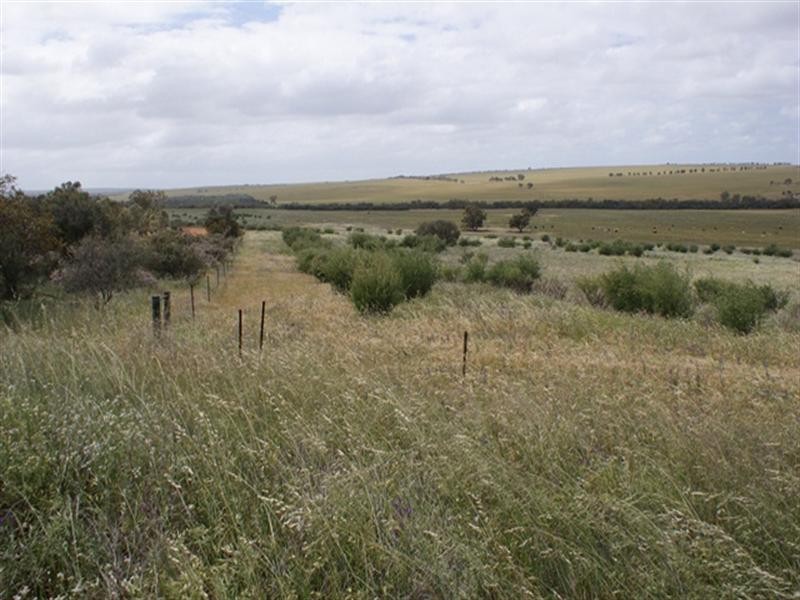 lot 60 Strawberry North East Road, Yarragadee WA 6522