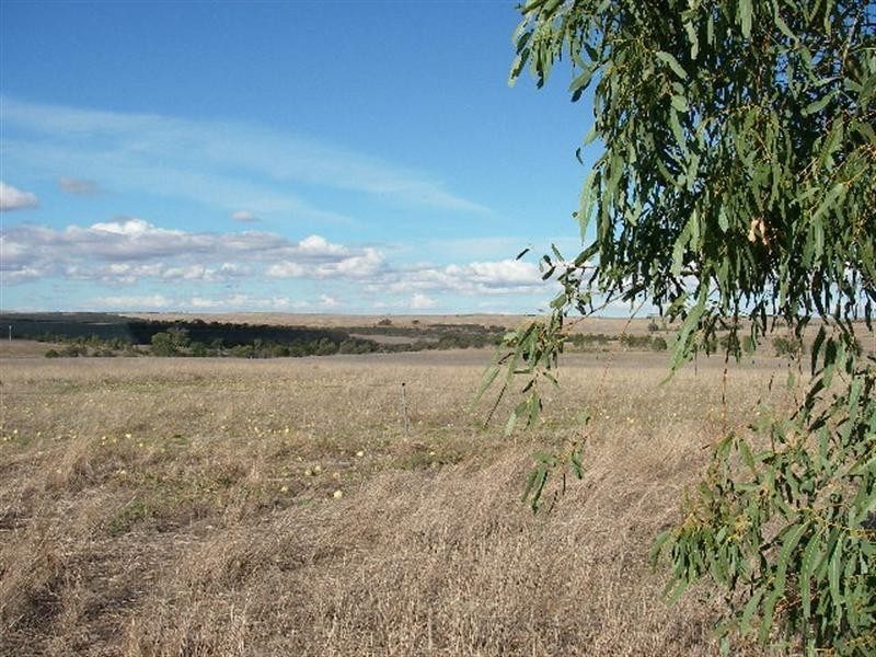 LOT 63 Strawberry North East Road, Yarragadee WA 6522