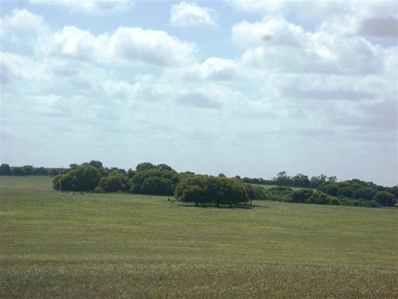 Lot 51 Mt Horner Road West, Allanooka WA 6525