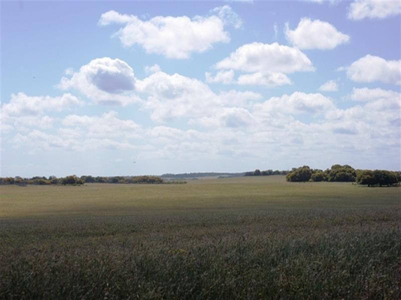 Lot 51 Mt Horner Road West, Allanooka WA 6525