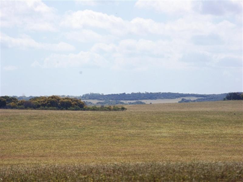 Lot 51 Mt Horner Road West, Allanooka WA 6525