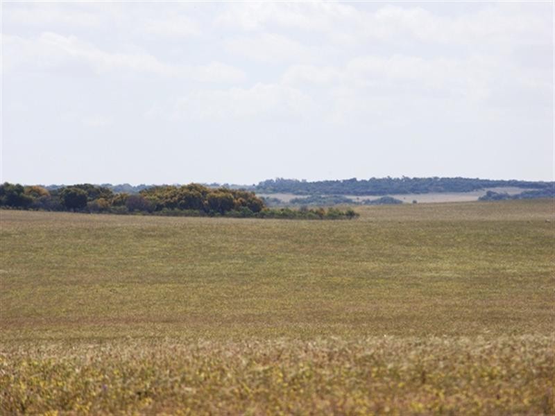 Lot 51 Mt Horner Road West, Allanooka WA 6525