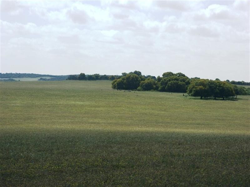 Lot 51 Mt Horner Road West, Allanooka WA 6525