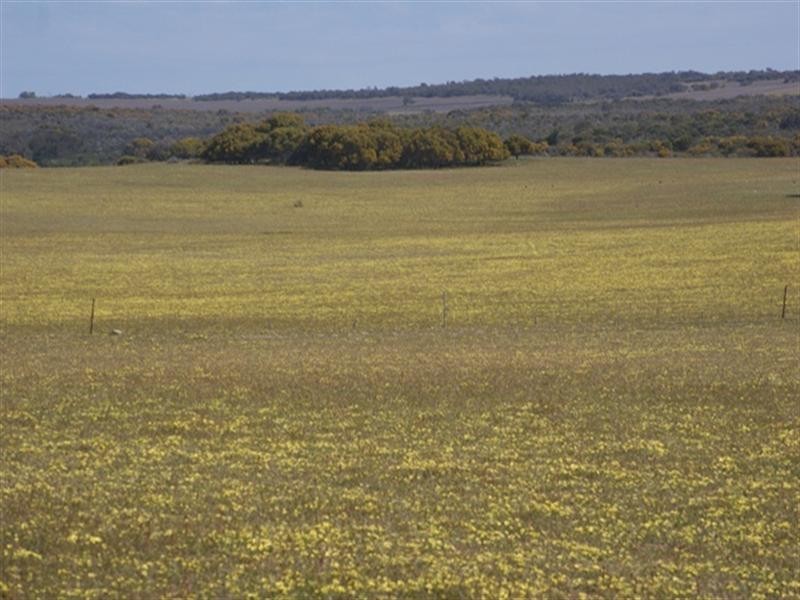 Lot 51 Mt Horner Road West, Allanooka WA 6525